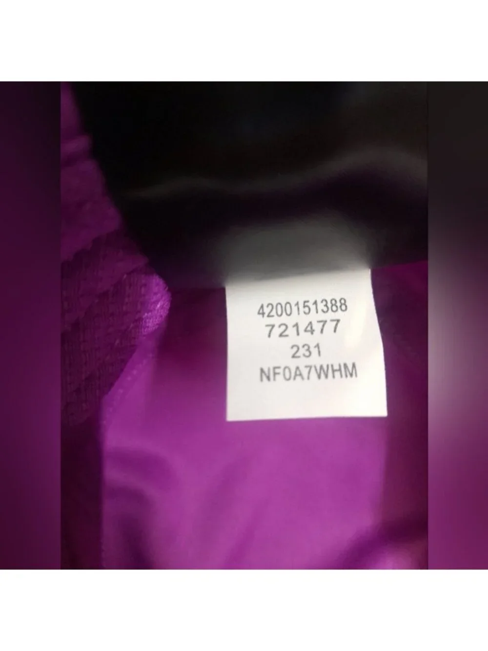 The North Face brand north